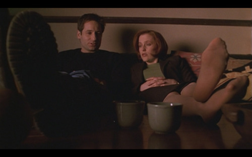 Scully and Mulder Netflix-and-chill between alien invasions.